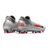 Nike Phantom Vision Elite Dynamic Fit FG Barrio Plata Negro Gris